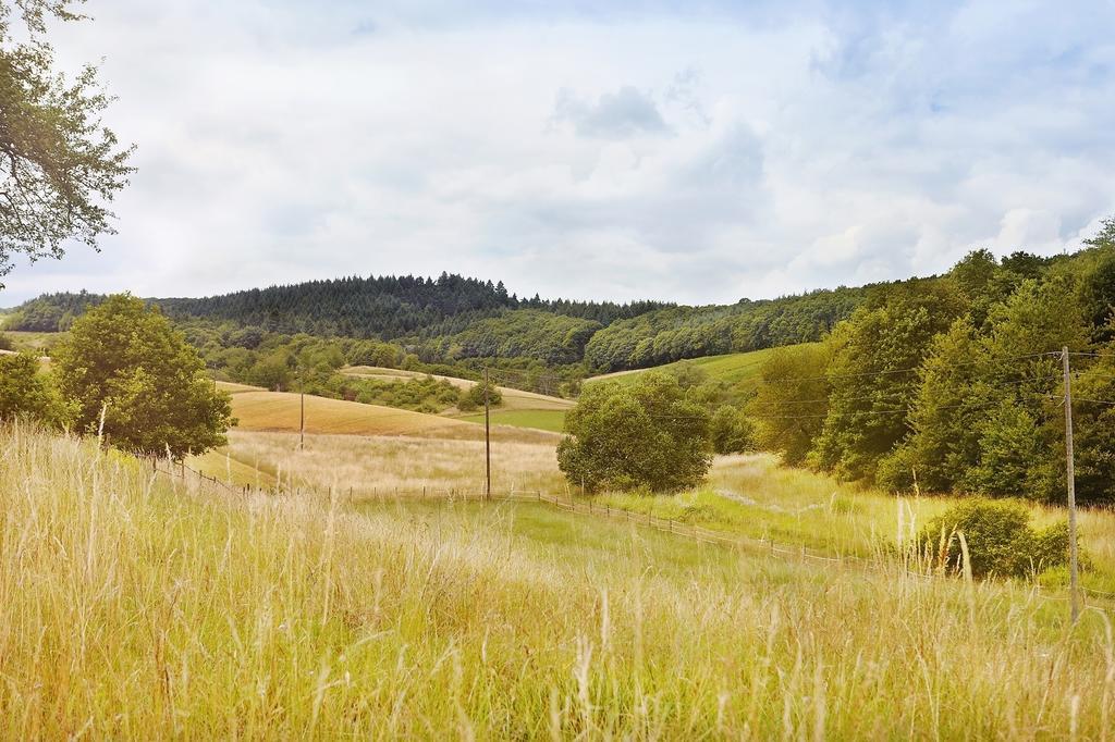 Landhotel Lembergblick Feilbingert Экстерьер фото