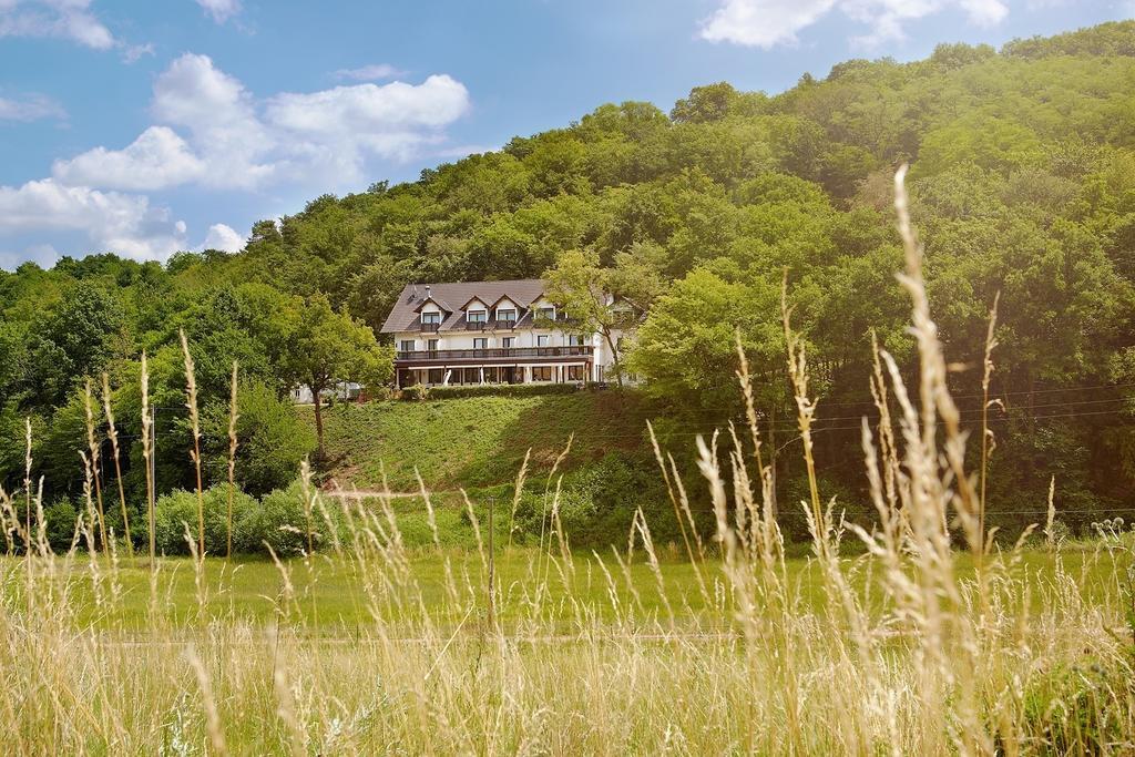 Landhotel Lembergblick Feilbingert Экстерьер фото